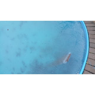 Hydrocork 14 dní v bazéně